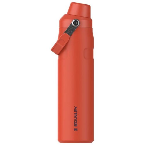 Stanley Aerolight IceFlow Fast Flow 0,6L termo boca - Tigerlily Plum Cene