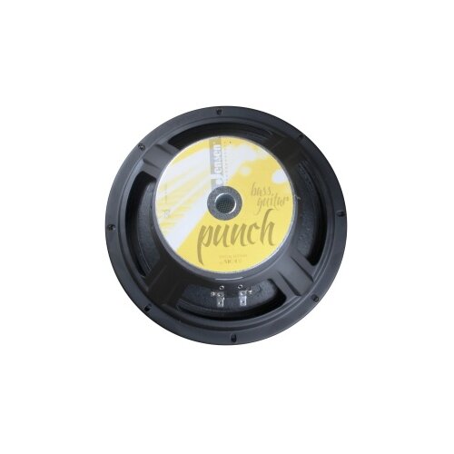  BP10/150 Jensen zvučnik za bass 8 Ohm Slike
