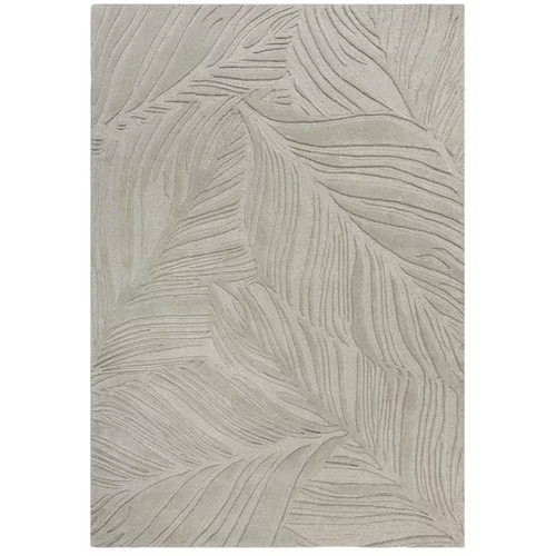Flair Rugs Svijetlo sivi vuneni tepih 200x290 cm Lino Leaf -