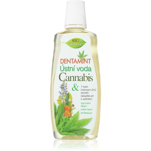 Bione Cosmetics Dentamint Cannabis ustna voda 500 ml Cene