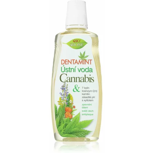 Bione Cosmetics Dentamint Cannabis vodica za usta 500 ml