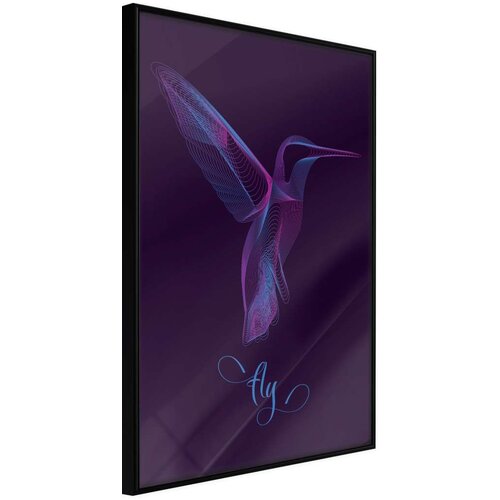  Poster - Fluorescent Hummingbird 30x45 Cene