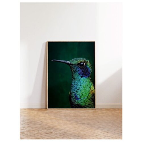 Wallxpert uramljena slika 115245, kolibri u zelenim i plavim tonovima na tamnozelenoj pozadini, 50 x 70 cm, ram u boji prirodnog drveta Cene