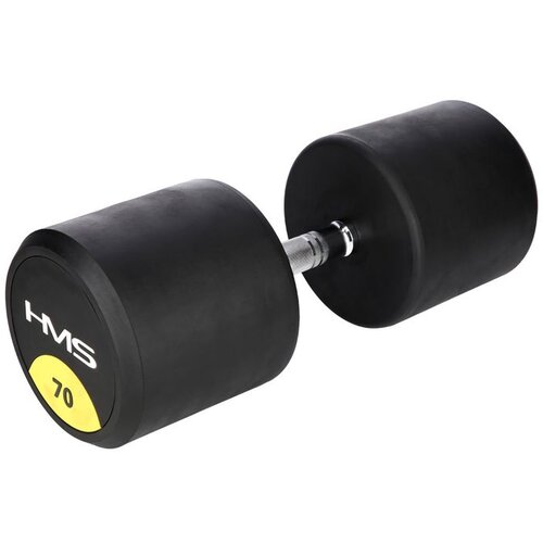  Hg pro gumene bučice 70 kg hms Cene