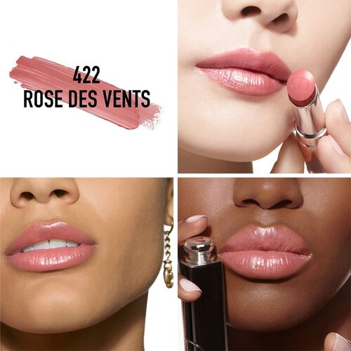 Christian Dior Dior Addict Shine Lipstick &amp;scaron;minka za sijaj ustnic klasično rdečilo za ustnice &amp;scaron;minka 3,2 g odtenek 422 Rose Des Vents za ženske Slike
