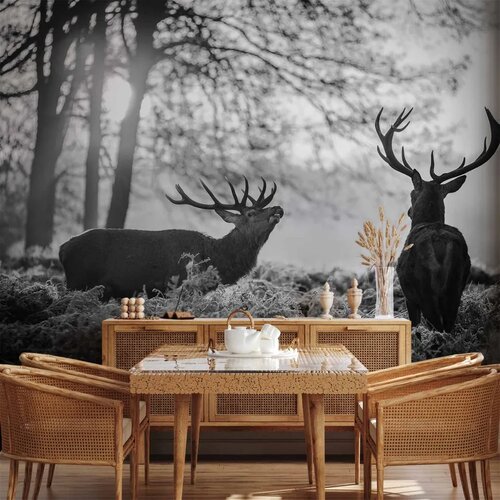  Foto tapeta - Deers in the Morning 500x350 Vodootporna Cene