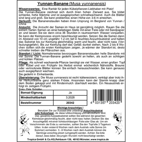 TROPICA Yunnan banana - 7 zrn. Slike