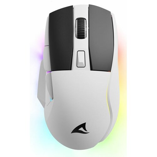 Sharkoon Igrača mi&scaron;ka SGM50W z RGB osvetlitvijo, (5000521230) Cene