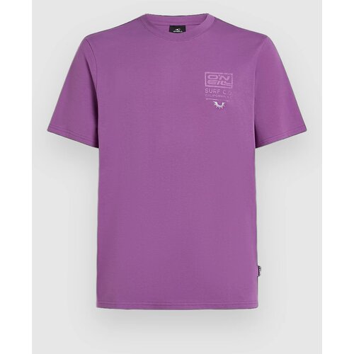 O'neill Retro Graphic T-shirt sweet grape Cene