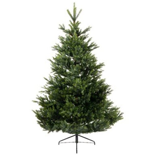  Novogodišnja jelka Arlberg fir 210cm-142cm Everlands 68.4382 Cene