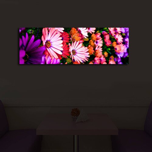 Wallity Slika sa LED osvetljenjem 3090İACT-43, 30x90 cm Cene