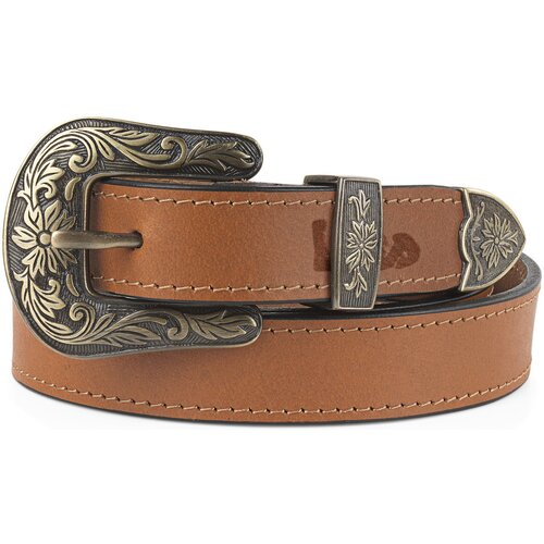 Lois Cinturones Gold Slike