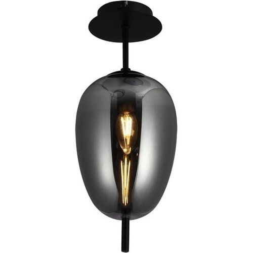  plafonska lampa F4014-1C bk+sm Slike