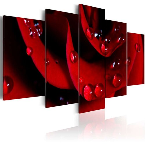  Slika - Rose with dew 200x100 Slike