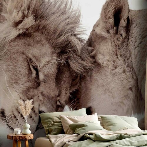 Artgeist Fototapeta Lion Tenderness, 300x210cm Slike