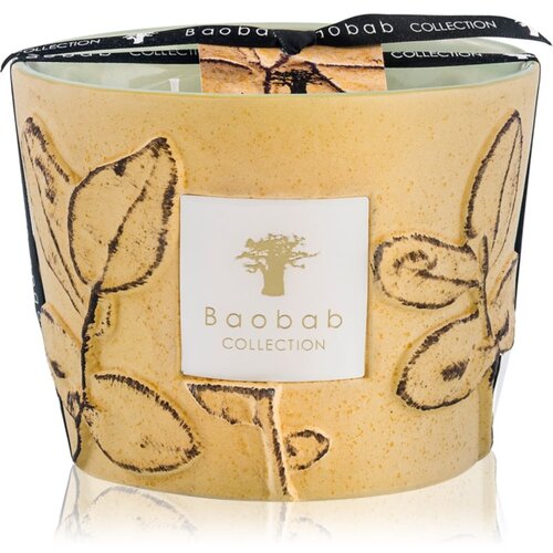 Baobab Collection Folia Garrigue di&amp;scaron;eča sveča 10 cm Slike