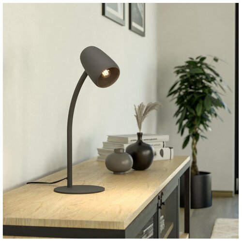 Eglo 901828 - Stona lampa CARLO 1xE14/18W/230V crna Cene