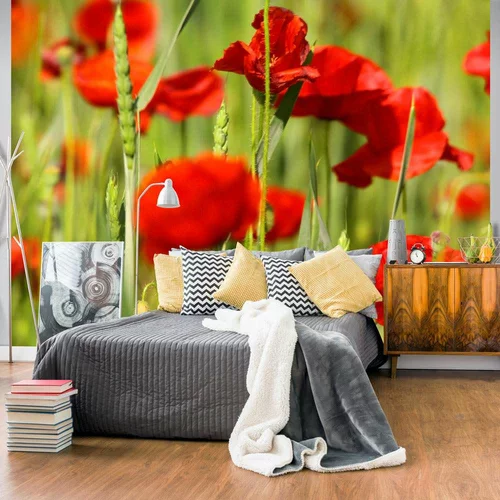  tapeta - Cereal field with poppies 250x193
