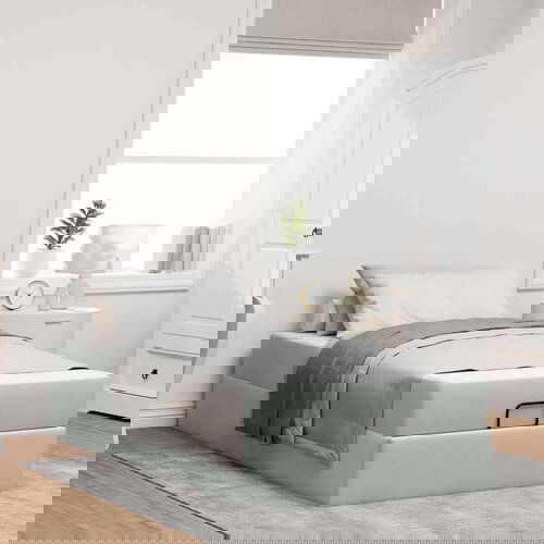  Krevetna konstrukcija Svjetlosiva 100 x 200 cm Baršun Cijene