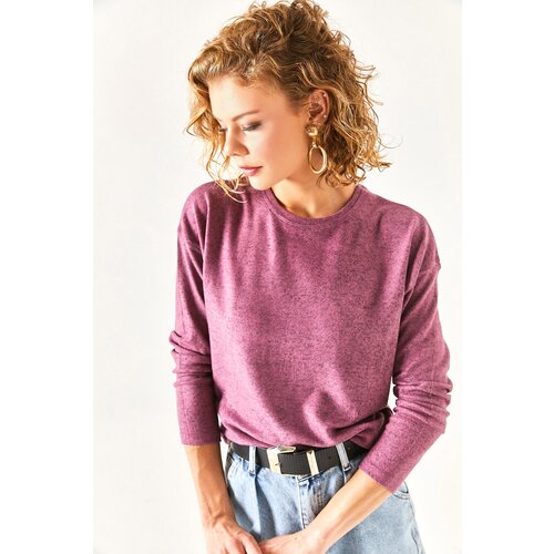 Olalook Women&amp;#039;s Purple Crewneck Bat Soft-textured Blouse Slike
