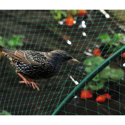 Nortene zaštita od ptica Birdnet (4 x 10 m) Cijene
