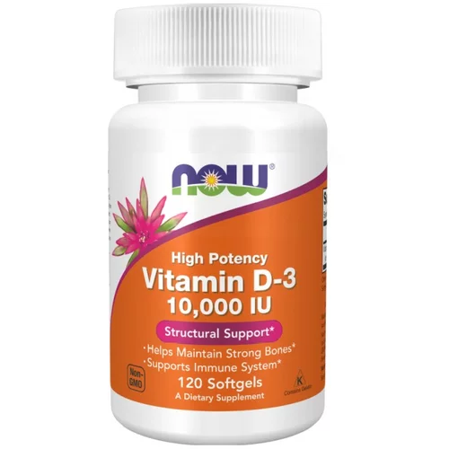 Now Foods Vitamin D3 NOW, 250 µg / 10 000 IE (120 kapsul)
