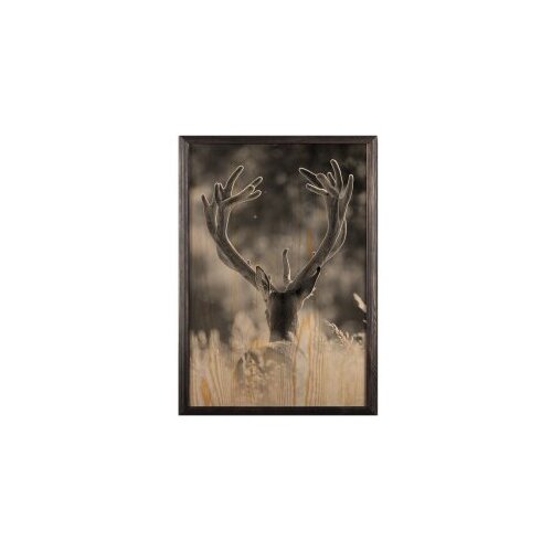 Wallity slika stag, 35 x 50 cm Cene