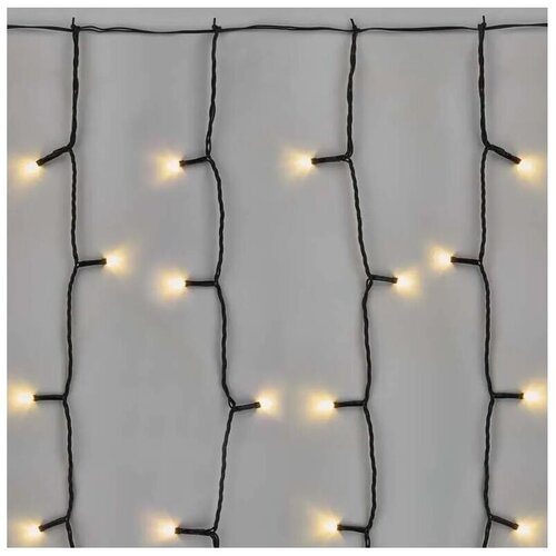  LED spolja&scaron;nji svetlosni niz 100xLED/1x2m IP44 topla bela Cene