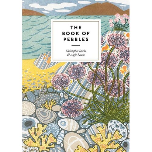 THAMES AND HUDSON Christopher Stocks - The Book Of Pebbles Slike