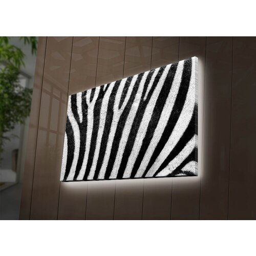 Wallity Slika sa LED osvetljenjem 4570DACT-56, 45x70 cm Cene