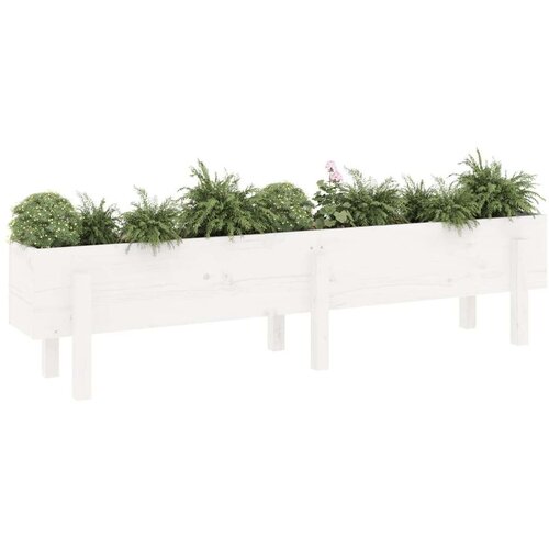VidaXL Povi&amp;scaron;ena vrtna gredica bijela 160 x 30 x 38 cm masivna borovina Slike