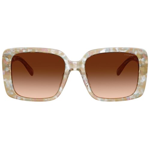 Coach Cad54 Naočare za sunce HC 8424U 586874 Cene