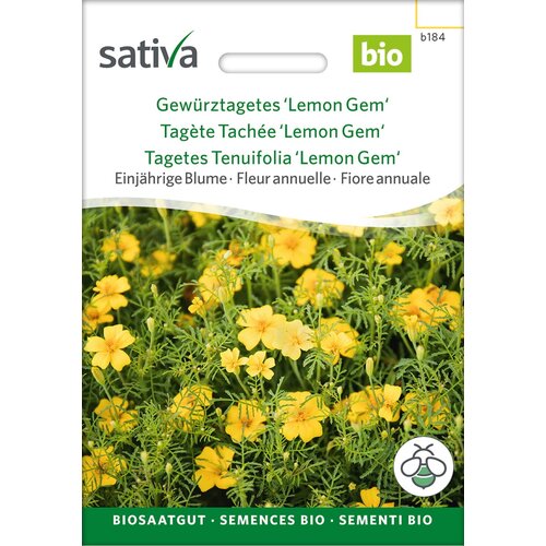 BIO žametnica "Lemon Gem" - 1 pkt. Cene
