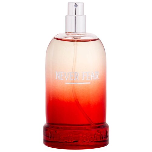 New Brand Parfums Never Fear toaletna voda 100 ml Tester za mu&amp;scaron;karce Slike