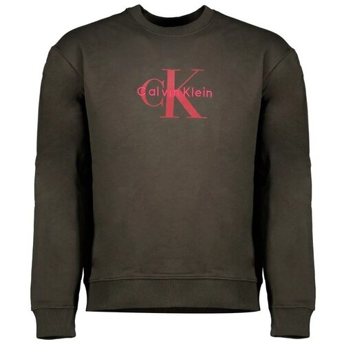 Calvin Klein Jeans Puloverji LS EU 350TERRY MONOLOGO Kostanjeva Slike