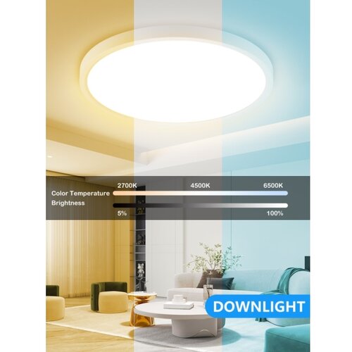  Immax NEO 07169-W60 - LED RGB prigu&amp;scaron;iva svetiljka TUDO 65W/230V Wi-Fi Tuya + daljinski upravljač Slike