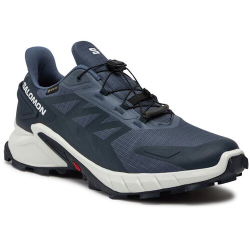 Salomon Supercross 4 gtx Cene