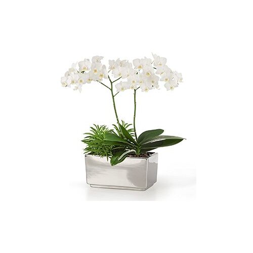 Saksija 494/25 mirror silver Cijene