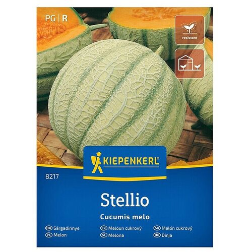 KIEPENKERL Sadna semena Melona Stellio (Cucumis melo, Čas žetve: Avgust) Cene