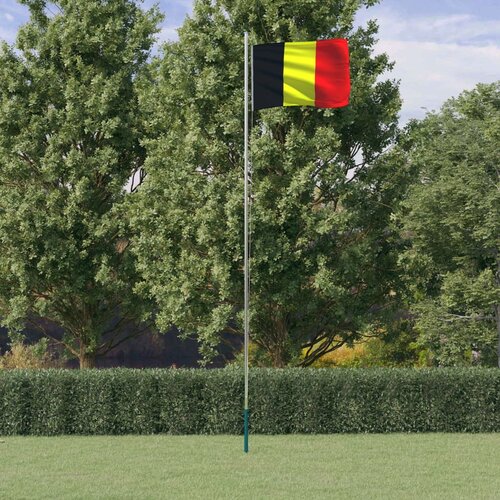 VidaXL Belgijska zastava in drog 6,23 m aluminij Slike