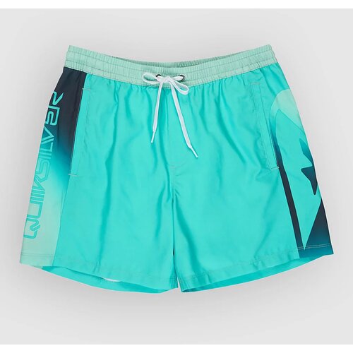 Quiksilver Everyday Holmes Volley 16 Boardshorts aqua holmes Cene