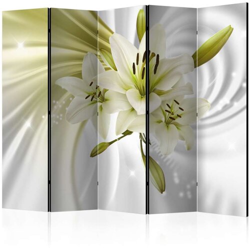  Paravan u 5 dijelova - Green Captivation II [Room Dividers] 225x172 Cijene