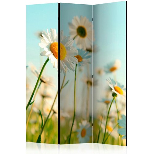 Artgeist PARAVAN 135/172/3 cm svetlo modra, svetlo zelena Cene