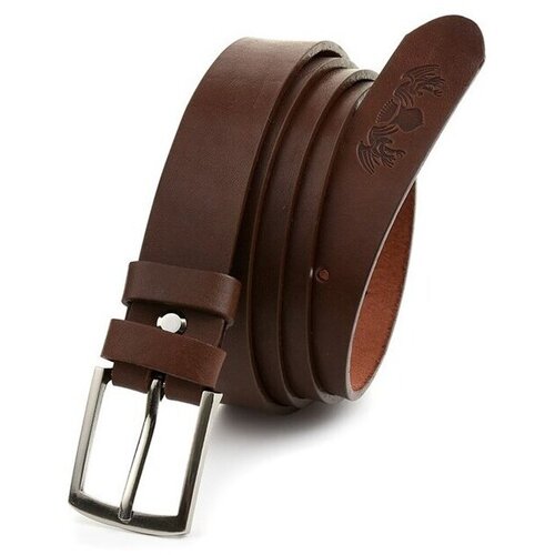 Beltimore a79160 sarena Cene