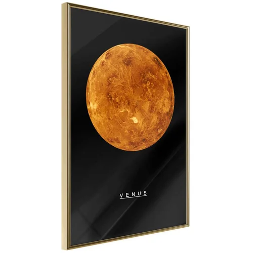  Poster - The Solar System: Venus 20x30