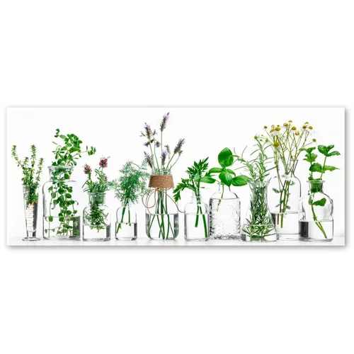 Styler Slika Glasspik Herbs, 30 x 80 cm
