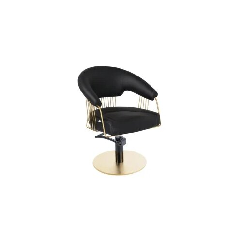  Stolica frizerska Alpeda – Elite Gold CSL Cene