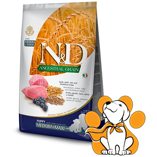 N&d Suva hrana za &scaron;tence Ancestral Grain Medium/Maxi Jagnjetina i Borovnica 12kg Cene