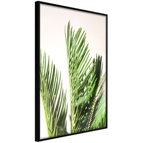  Poster - Rustling of Leaves 40x60 Slike