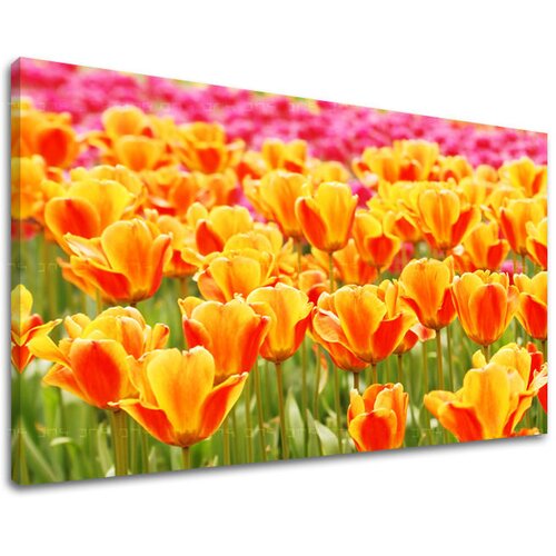  Slike na platnu cveće  (moderne slike na platnu) Cene